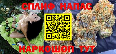 стаф Славянск-на-Кубани