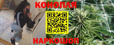 стаф Славянск-на-Кубани