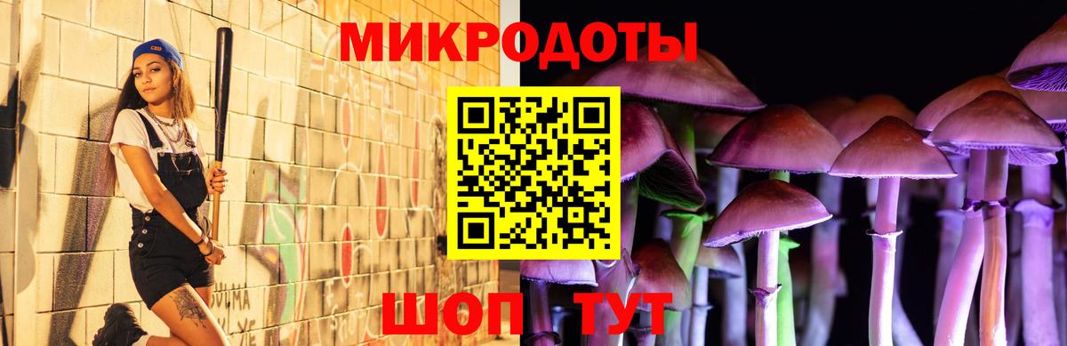Галлюциногенные грибы MAGIC MUSHROOMS  Вход с VPN  Нефтекумск 