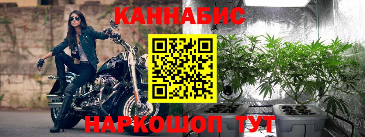 Шишки марихуана Ganja  Марихуана White Widow  Вход с VPN  Марихуана конопля  Нефтекумск 